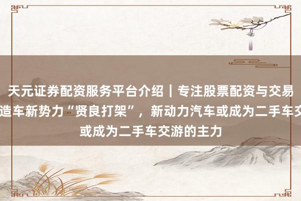 天元证券配资服务平台介绍｜专注股票配资与交易布局优化 造车新势力“贤良打架”，新动力汽车或成为二手车交游的主力