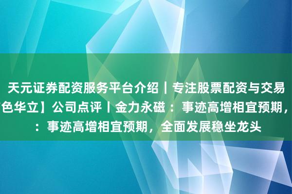 天元证券配资服务平台介绍｜专注股票配资与交易布局优化 【星河有色华立】公司点评丨金力永磁 ：事迹高增相宜预期，全面发展稳坐龙头
