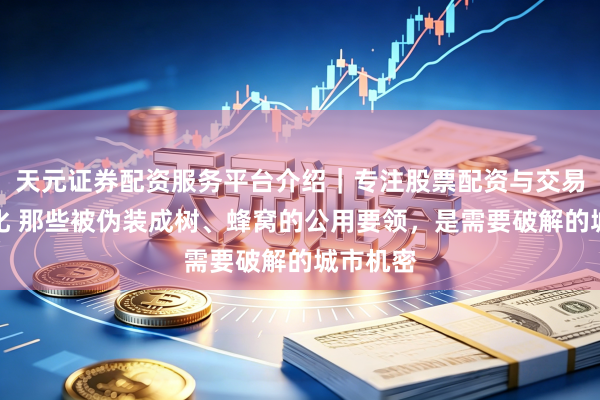 天元证券配资服务平台介绍|专注股票配资与交易布局优化 那些被伪装成树、蜂窝的公用要领,是需要破解的城市机密