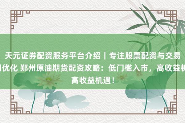 天元证券配资服务平台介绍｜专注股票配资与交易布局优化 郑州原油期货配资攻略：低门槛入市，高收益机遇！