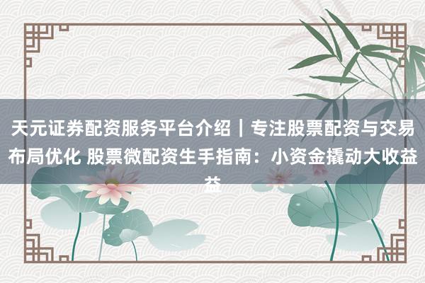 天元证券配资服务平台介绍｜专注股票配资与交易布局优化 股票微配资生手指南：小资金撬动大收益
