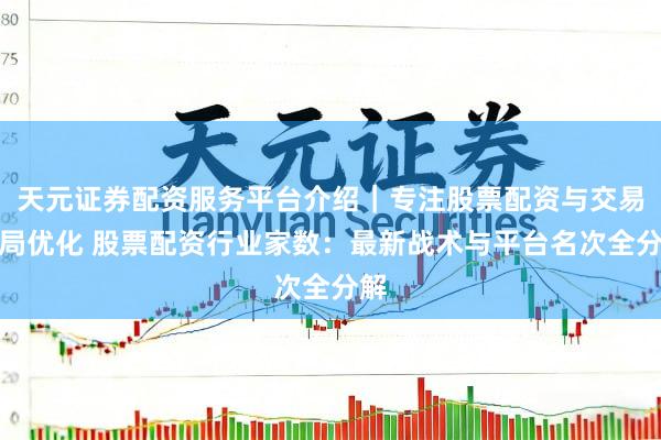 天元证券配资服务平台介绍｜专注股票配资与交易布局优化 股票配资行业家数：最新战术与平台名次全分解