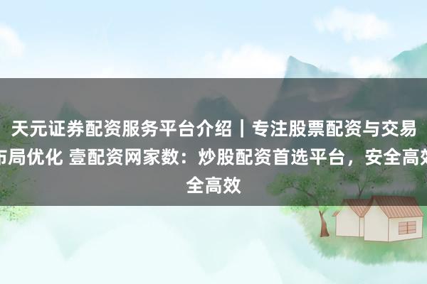 天元证券配资服务平台介绍|专注股票配资与交易布局优化 壹配资网家数:炒股配资首选平台,安全高效